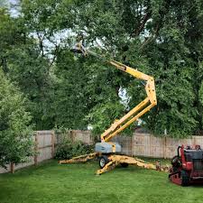 Best Commercial Tree Services  in Pleasantdale, NJ