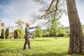Best Tree Removal  in Pleasantdale, NJ