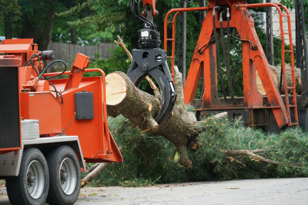 Best Firewood Processing and Delivery  in Pleasantdale, NJ